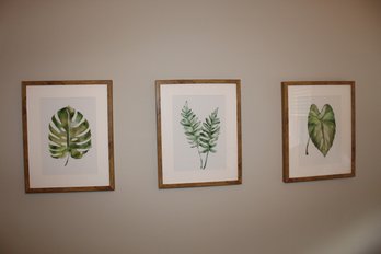 Collection Of Three Watercolor Leaf Prints Matted & Under Glass