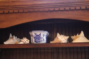 Blue And White Planter With Four Conche Shells