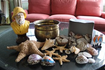 Collection Of Sea Shells And Nautical Decor