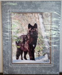 Black Wolf Print In Paper Frame