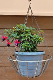 Black & Red Flowers In Metal Hanging Basket, 1 Of 2