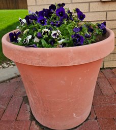 Purple & White Flowers In Plastic Planter