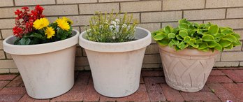 3 Plastic Planter Pots With Beautiful Flowers