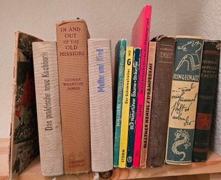 Lot Of Antiquarian Books Incl German Novels, Cookbook, Bound To Rise & Many More