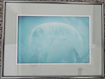 Mushroom Framed Art Print Signed By Artist