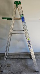 Werner 6' Painters Ladder