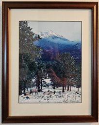 Mountain & Elk Estes Park Photo In Wooden Frame