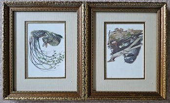 2 Animal Prints In Gold-tone Frames By Ray Harm Incl Raccoon & Rabbit