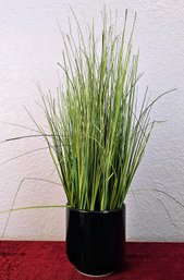 Faux Grass In Black Ceramic Pot