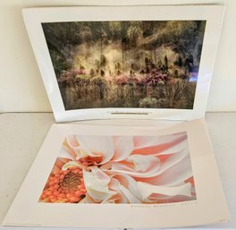 2 Large Poster Art Incl Spring Morning & Dahlia, Sealed In Cellophane