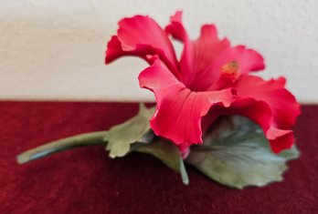Capodimonte Red Hibiscus Made In Italy