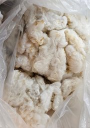Bag Of White Alpaca Wool, Raw/unprocessed