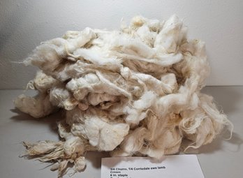 Cream Unprocessed Lamb Wool Dated 2004