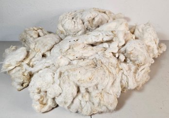 Cream/white Raw & Unprocessed Wool