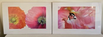 2 Barbara Bordnick Posters Incl Tulipa Pink And Papaver