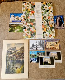 100 Page Photo Album  South Dakota Post Cards