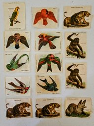 Collectible Antique Printed Cigarette Silk Pieces Incl. Birds And Animals