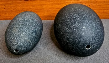 2 Black Blown Emu Eggs