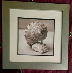 19.5' Square Framed Seashell Picture