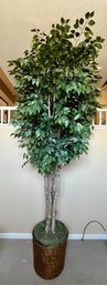 A Very Large 10' Artificial Ficus Tree In Basket