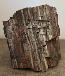 Block Of Petrified Wood