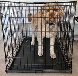 Large Dog Kennel With 2 Doors & Plastic Mat- Dog Not Included :)