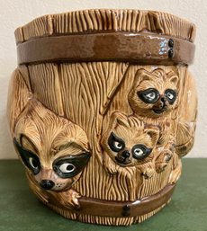 Hand Painted Racoon Planter Pot