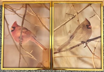 2 Cardinal Pictures In Gold-tone Metal Frames