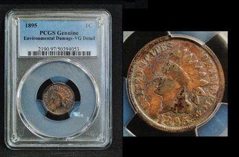 1895  Indian Head Cent  PCGS Graded VG Details - Envir Damage (8mbc45NT)