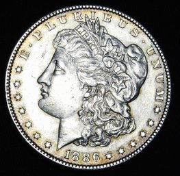 1886  Morgan Silver Dollar AU  FULL CHEST FEATHERING Nice Coin (5grem)