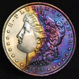 1896  Morgan Rainbow Toning UNCIRC FULL CHEST FEATHERING!  SUPERB!  (lpc28)