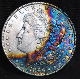 1886  Morgan UNCIRC  Rainbow Toning FULL CHEST FEATHERING  (abg72)