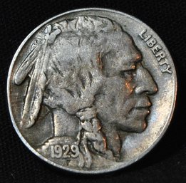 1929-S  Buffalo Nickel  Good Date! XF  FULL HORN (yur23)