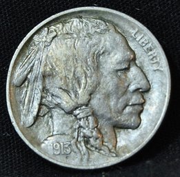 1913 Buffalo Nickel  EARLY DATE!   AU   Full Bold Horn & Tail Tuft! SUPERB!  (cap76)