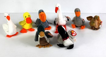 Beanie Baby Birds #1 -total 8