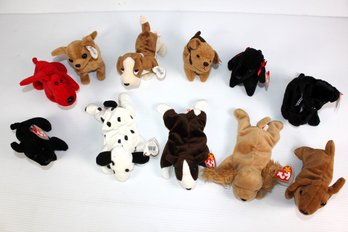 Beanie Baby Dogs #1- Total 11