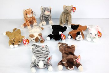 Beanie Baby Cats -total 10