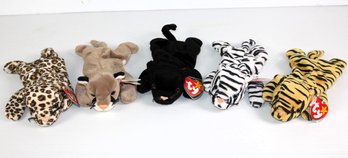 Beanie Baby Wildcats-total 5