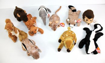 Beanie Baby Miscellaneous Animals - Total 10