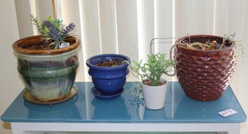 4 Ceramic Pots With Two Real And Two Plastic Plants- Largest 8.5 In Tall