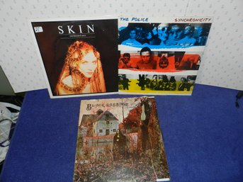 VINTAGE VINYL RECORDS POLICE BLACK SABBATH SKIN