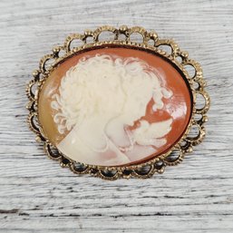 Vintage Resin Double Cameo Brooch Lady Birds Gold Pin Beautiful Design Classic Pin