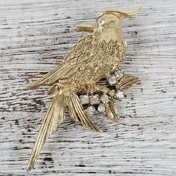 Vintage 1928 Brooch/pin Blue Jay/ Bird Gold-Tone Beautiful Design Classic Costume Jewelry