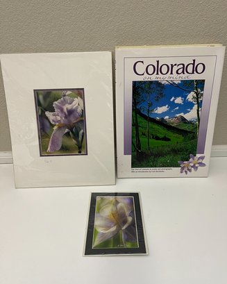 State Of Colorado Lot Of 3 Gift Set, Coffee Table Conversation Book, Local Photography, Colorado Flowers