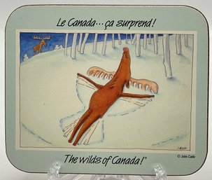 New Old Stock Jason Coasters The Wilds Of Canada