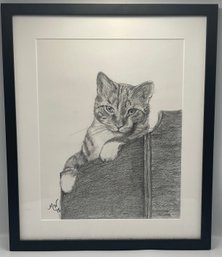 Tabby Cat Pencil Drawing Initials MW