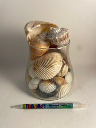 Small Glass Vase Filled With Shells