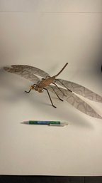 Dragonfly Decor