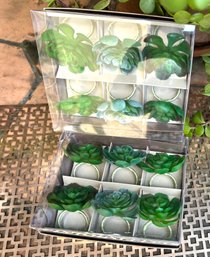 Succulent Napkin Rings S/2 Boxes Of 6