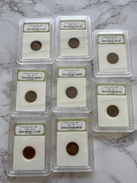 Lot Of 8 Slabbed Wheat Pennies